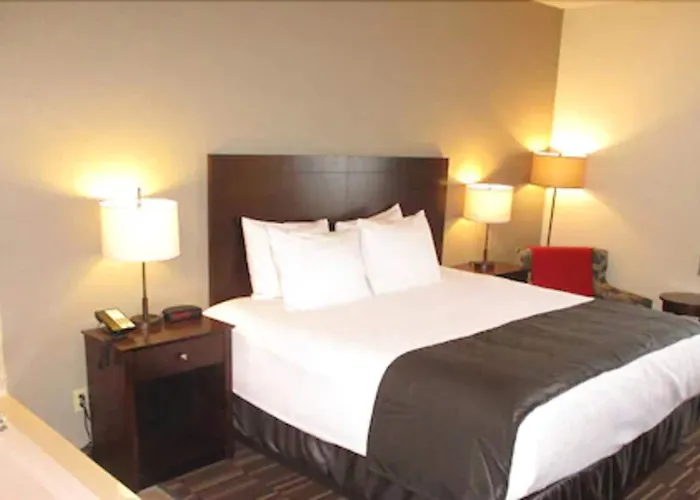 Western 3* Urbana