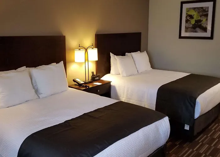 Hotel Western 3*