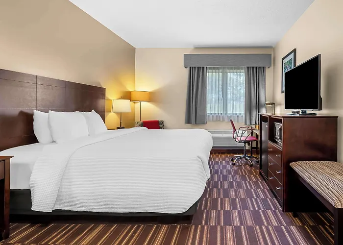 Hotel Western 3*